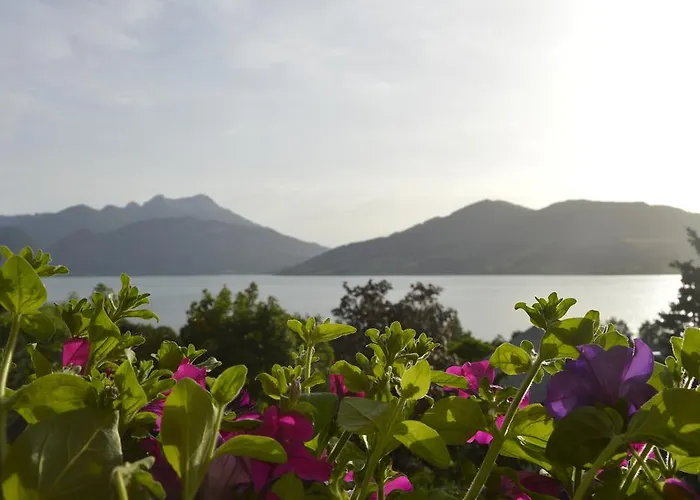 Haus Stueckler Daire Steinbach am Attersee