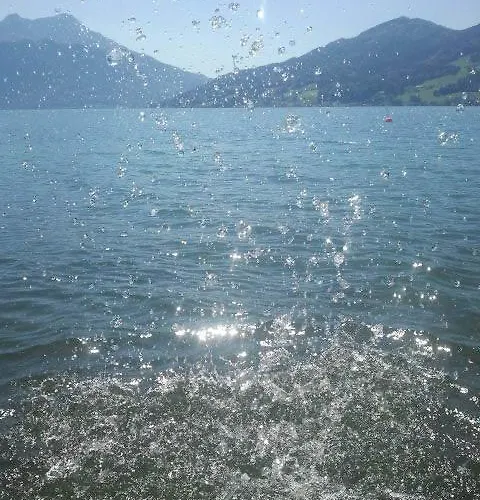 Haus Stueckler Steinbach am Attersee