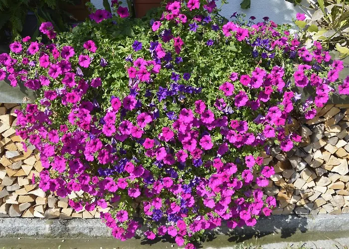 Haus Stueckler Steinbach am Attersee